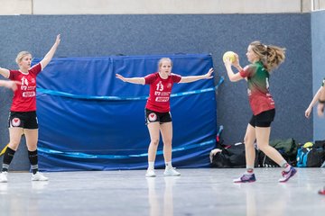 Bild 50 - Frauen HSG Kremperheide/Muensterdorf - HSG Joerl-Vioel : Ergebnis: 34:27